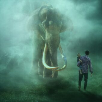 encounter-3757484_1920