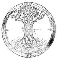 jsme-svetovym-stromem-yggdrasil-mandala