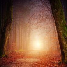 nature-3151869_1920