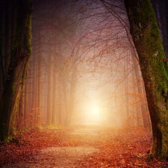 nature-3151869_1920